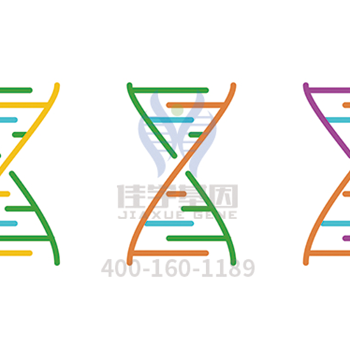 【眼科遗传病】<font color='red'>BEST</font>病基因解码、<a href=http://www.meouart.com/tk/jiema/cexujishu/2021/31933.html>基因检测</a>