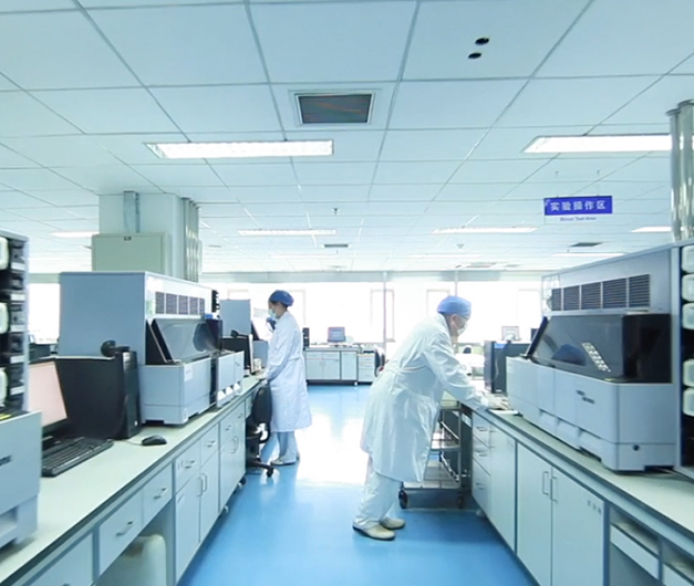 【bbin宝盈基因-基因