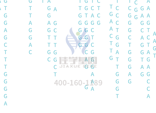【bbin宝盈基因检测】<font color='red'><font color='red'>庞贝</font>氏</font>症（Pompe disease)基因解码、基因检测